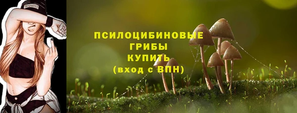 молекула духа Пересвет