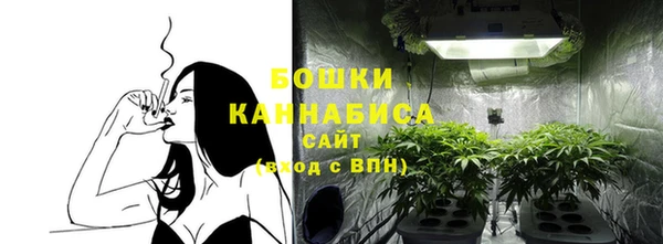 гидра Осинники