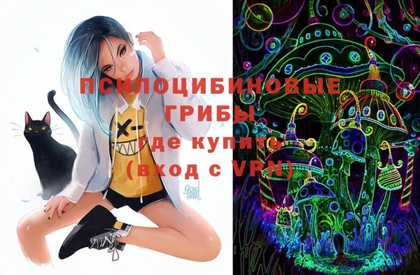 прущая мука Пестово