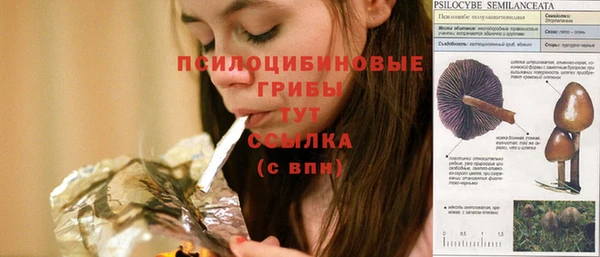 гидра Осинники