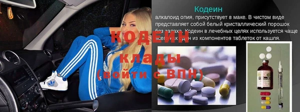 молекула духа Пересвет