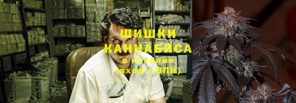 ГАЛЛЮЦИНОГЕННЫЕ ГРИБЫ Калининец