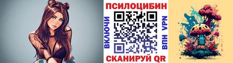 Галлюциногенные грибы Psilocybe  МЕГА ссылка  Аргун 