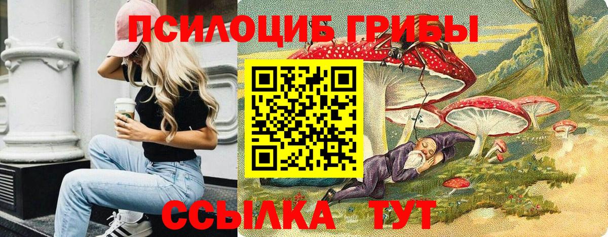 Галлюциногенные грибы Cubensis Аргун